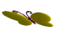 Цветы